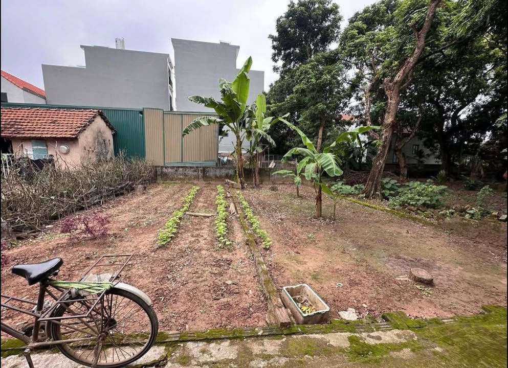 Đất thổ cư An Thượng Hoài Đức 60m² giá chỉ 375 triệu - Cơ hội đầu tư tuyệt vời!