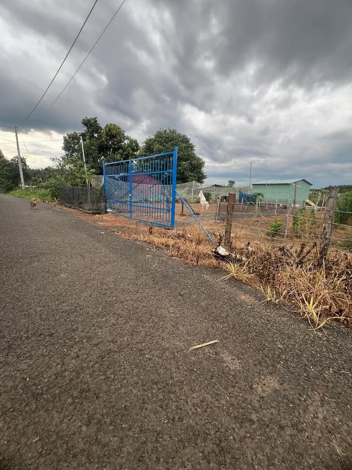 Đất Farm 4000m² tại ấp 3, xã Thanh Hoà, huyện Bù Đốp - Giá 1.149 tỷ, tiện ích đầy đủ!