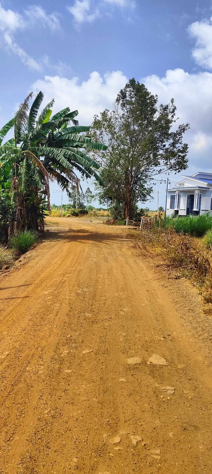 Đất nền 1,3 sào xã Phước Long Thọ - Giá chỉ 1,8 tỷ - Đầu tư sinh lời ngay!