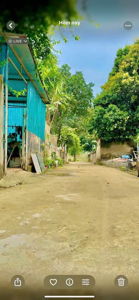 Đất nhà vườn Phú Mãn Quốc Oai 272m² - Pháp lý rõ ràng, đầu tư an toàn!