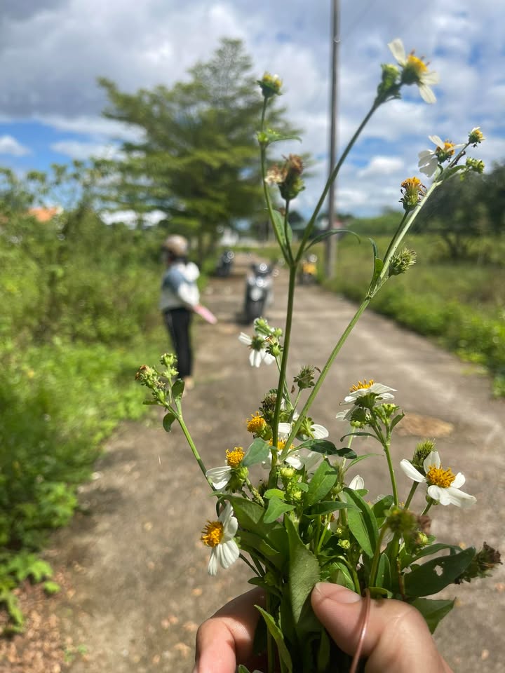 Đất nền thổ cư Xuân Đồng 130m² giá chỉ 4xx triệu - Đầu tư sinh lời ngay!