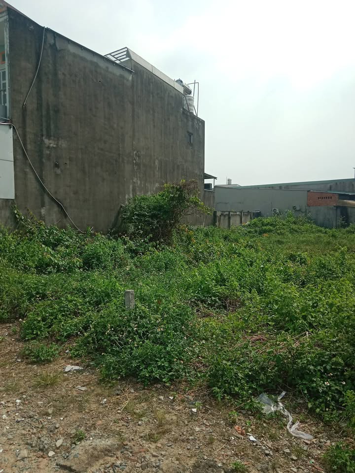 Đất nền đường Song Hành, Tân Hiệp, Hóc Môn 423m² giá 6.5 tỷ - Tiềm năng đầu tư sinh lời!