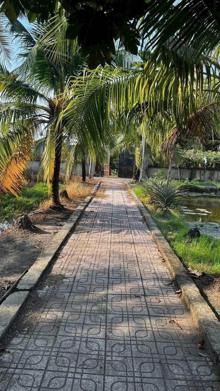 Đất vườn Bình Mỹ Củ Chi 2109m² giá 8.436 tỷ - Đầu tư sinh lời ngay!