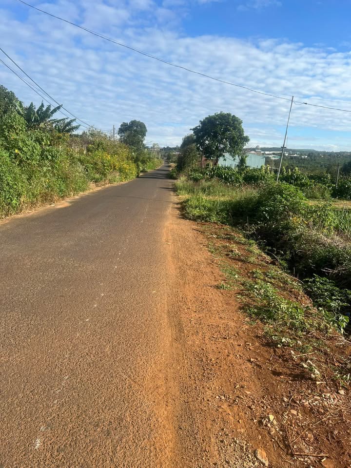 Đất nền đường Nguyễn Siêu, phường Diên Hồng 1750m² giá 7.7 tỷ - Cơ hội đầu tư hấp dẫn!