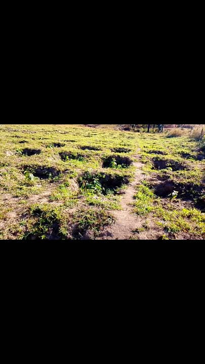 Đất sào cà phê 9000m² tại xã Biển Hồ, giá 630 triệu - Sổ đỏ sẵn sàng!