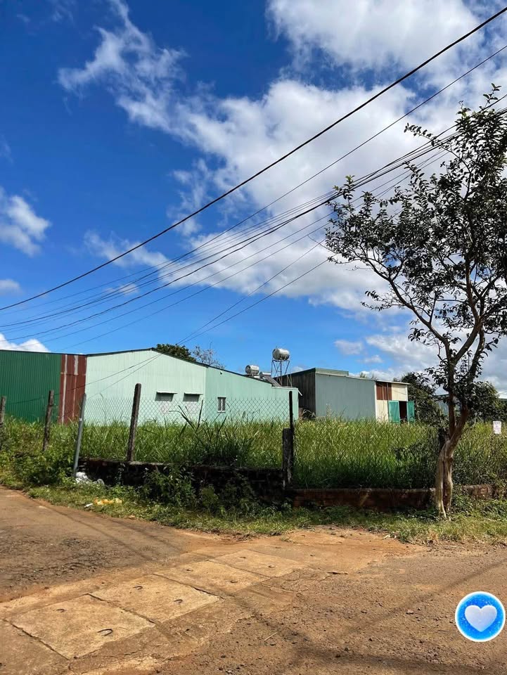 Đất thổ cư 150m² phường Yên Thế, Pleiku chỉ 500 triệu - Cơ hội đầu tư vàng!