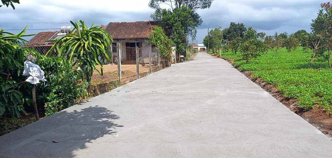 Farm cho thuê tại Làng Kim Thành, Ia Bã, Ia Grai - Giá 150 triệu/năm, hợp đồng 6 năm!