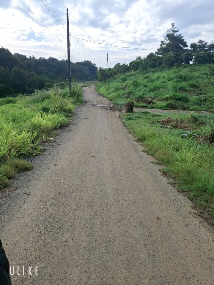 Đất thổ cư Tân Lạc, Bảo Lâm 132m² giá 390 triệu - Đầu tư sinh lời ngay!