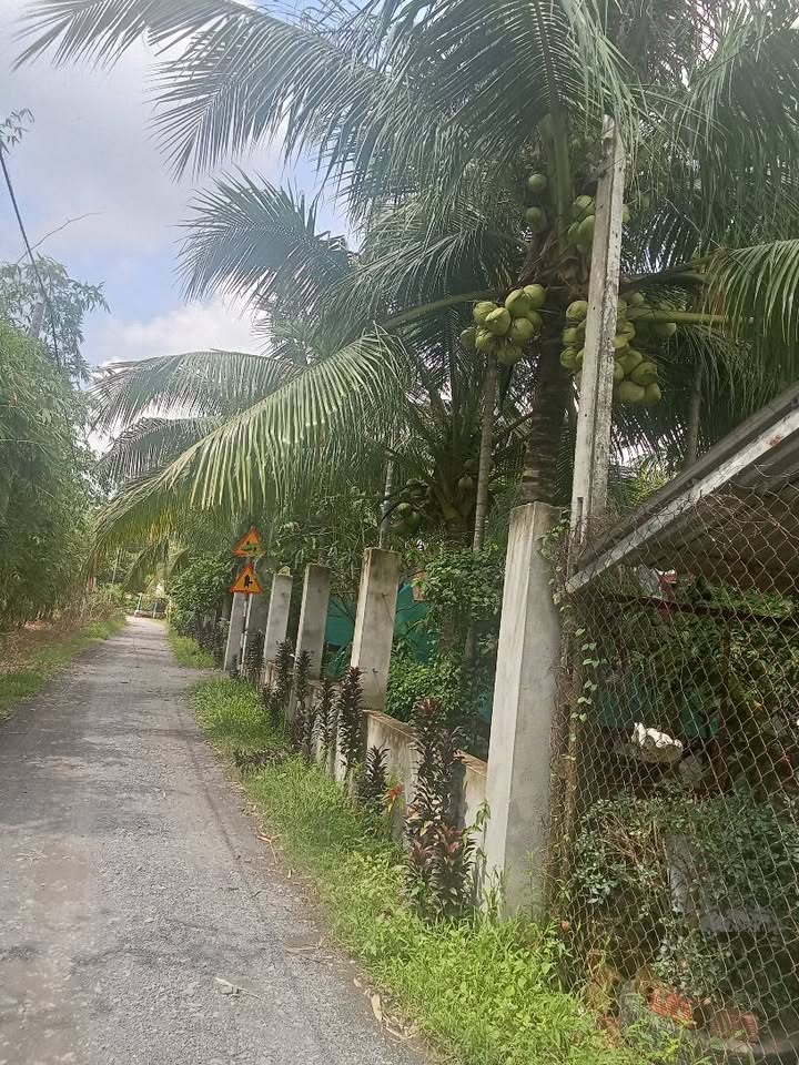 Đất thổ cư 800m² xã Truông Mít, huyện Dương Minh Châu giá 1.2 tỷ - Cơ hội đầu tư tuyệt vời!