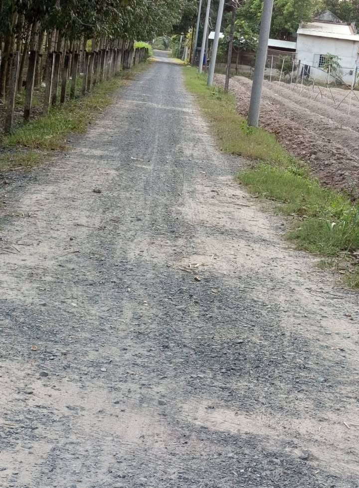 Đất Bình Lợi Hảo Đước Châu Thành 1269m² giá 320 triệu - Đầu tư dễ dàng!