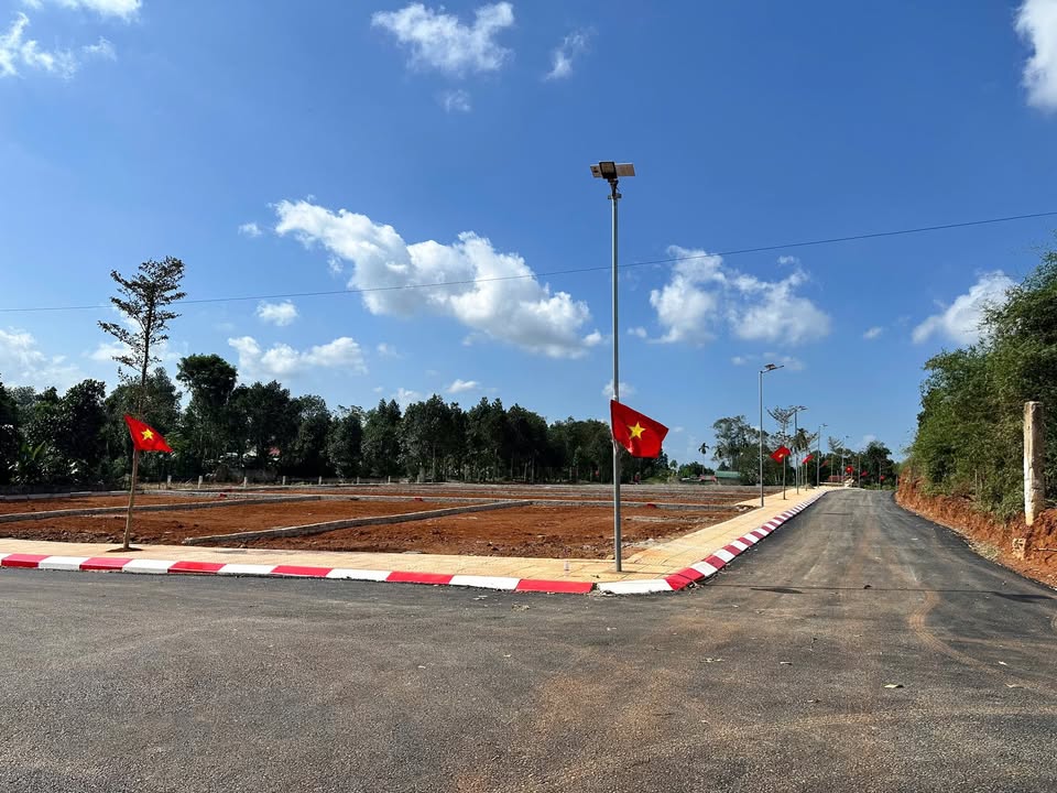 Đất nền Thọ Tân, Triệu Sơn 150m² giá chỉ 300 triệu - Đầu tư sinh lời ngay!