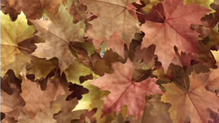 Đất nền Thái Minh, Triệu Sơn 150m² giá 700 triệu - Tiềm năng sinh lời cao!