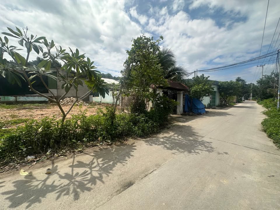 Đất mặt tiền đường Vũ Ngọc Nhạ - 269m² giá 6.725 tỷ - Tiềm năng đầu tư cao!