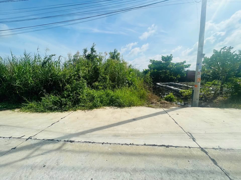 Đất Mặt Tiền Mạc Thiên Tích, Vĩnh Thông, Rạch Giá 133m² - Đầu tư sinh lời nhanh chóng!