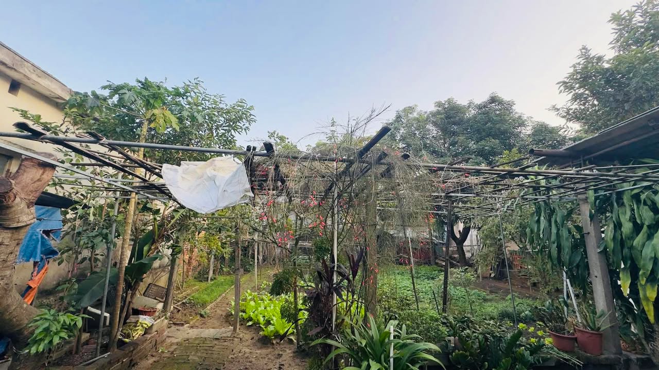 Đất nền phường Hà Huy Tập TP Vinh 467m² - Cơ hội đầu tư lý tưởng!