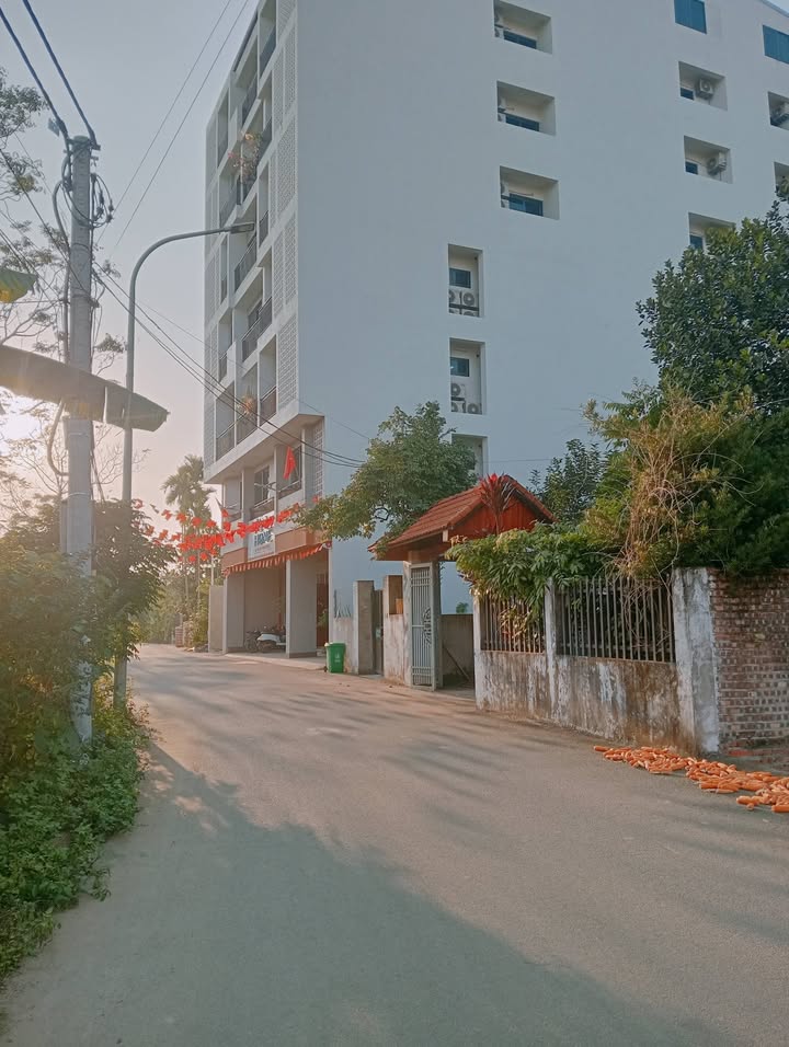 Đất thổ cư Hòa Lạc 61.4m² giá 3 tỷ - Gần Trường Đại học Quốc gia!