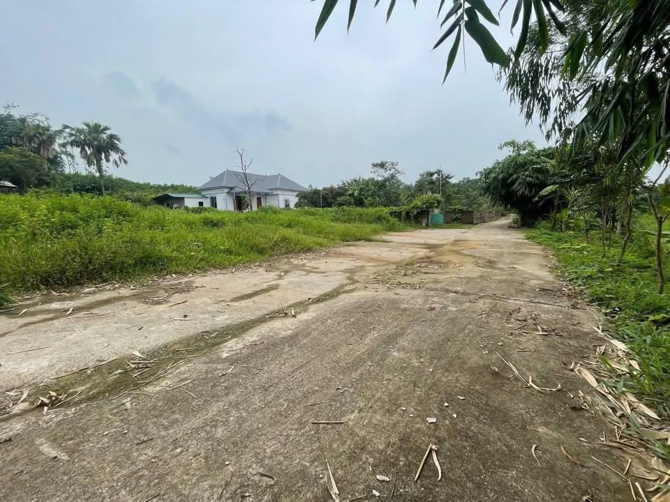 Đất nền Hướng Đạo Tam Dương 188m² giá 600 triệu - View cánh đồng thoáng mát!