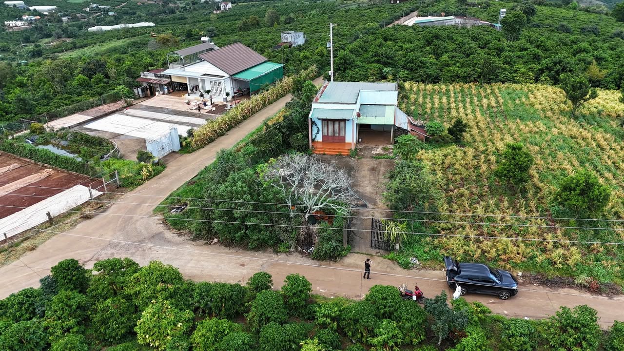 Đất nền Tân Văn, Lâm Hà 224m² giá chỉ từ 530 triệu - Mặt tiền đẹp, đầu tư sinh lời!