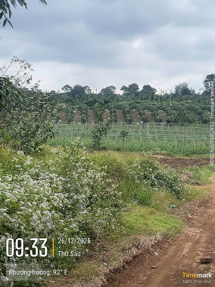 Đất nền 2 mặt tiền Tỉnh Lộ 5, Buôn Ma Thuột 4,8 sào - Cơ hội đầu tư lý tưởng!