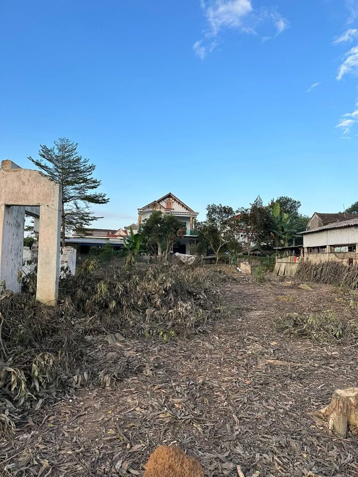 Lô đất đẹp tại Đại Từ, Bình Thuận 1000m² giá chỉ 1 tỷ - Đầu tư thông minh!