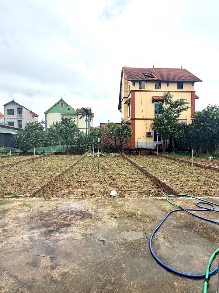 Đất nền Tráng Việt Mê Linh 65m² giá 3 tỷ - Chính chủ bán gấp!