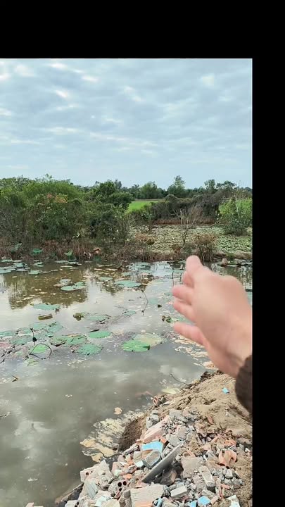 Đất nền 04 nền đường nhựa Ông Chăng, phường Mỹ Ngãi, 260m², giá chỉ 350 triệu - Cơ hội đầu tư hấp dẫn!