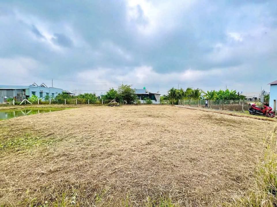 Đất vườn 854m² tại Mỹ Lộc, Cần Giuộc giá chỉ 1.3 tỷ - Đầu tư sinh lời!