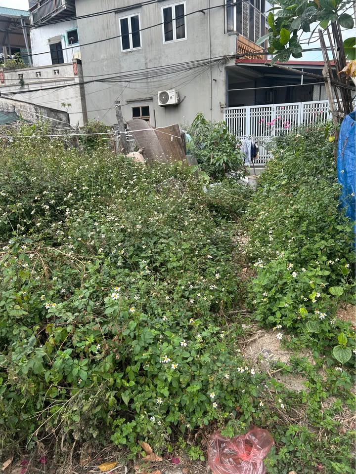 Đất nền 30m² tại Hà Huy Tập, Yên Viên - Giá thỏa thuận, ô tô vào tận nơi!