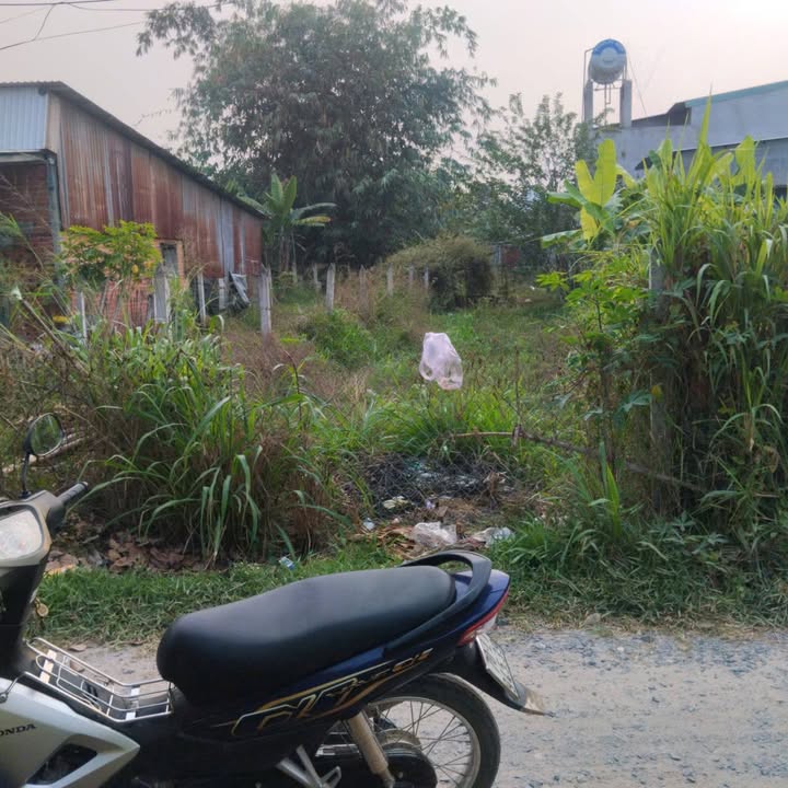 Đất nền Kp An Thành, Phường An Tịnh, Trảng Bàng 140m² giá 600 triệu - Cơ hội đầu tư hấp dẫn!