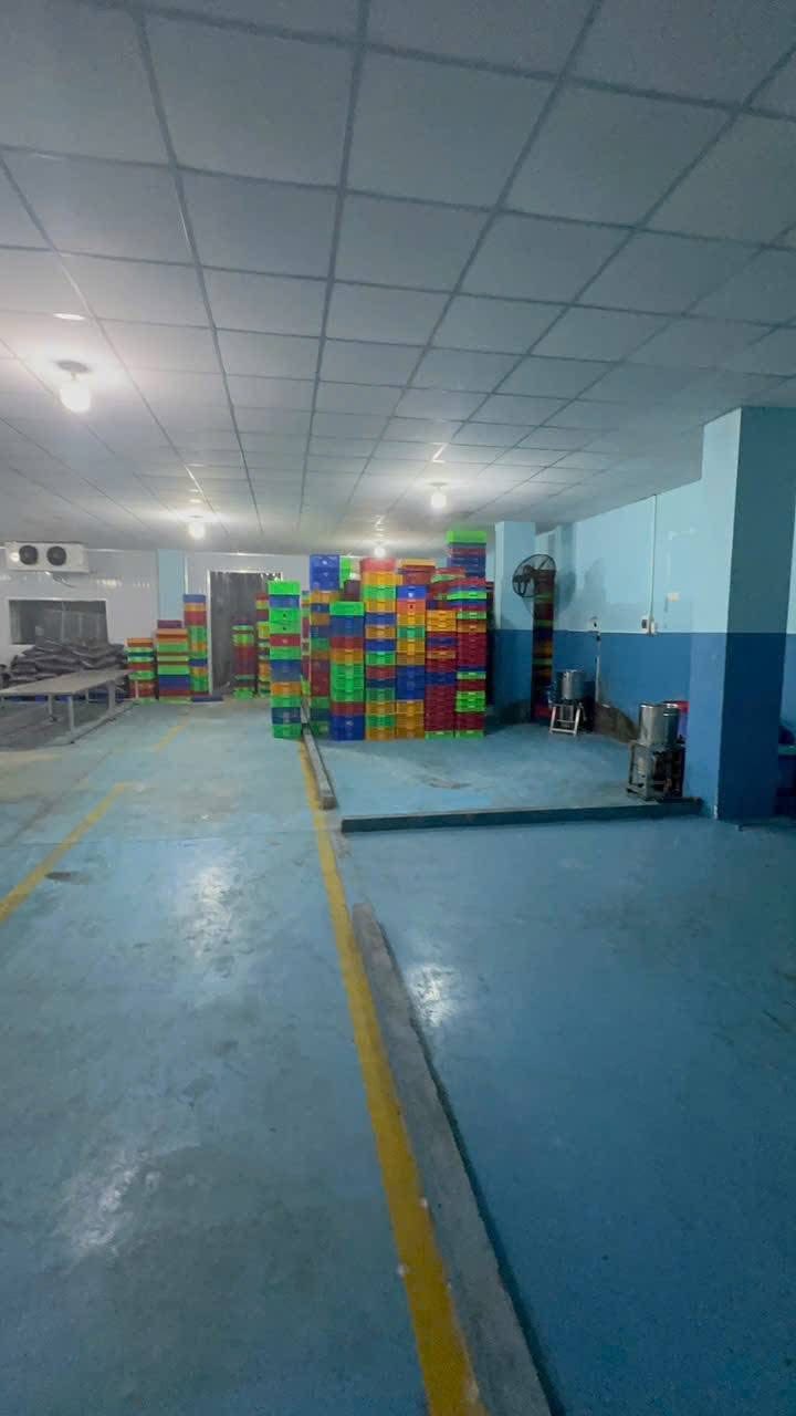 Nhà xưởng cho thuê tại Bình Mỹ, Củ Chi 1.600m² - Phù hợp cho sản xuất và logistics!