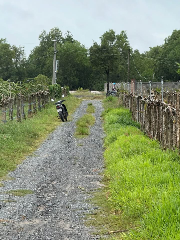 Đất nền khu phố 8 Tân An 8495m² giá 2.6 tỷ - Pháp lý rõ ràng