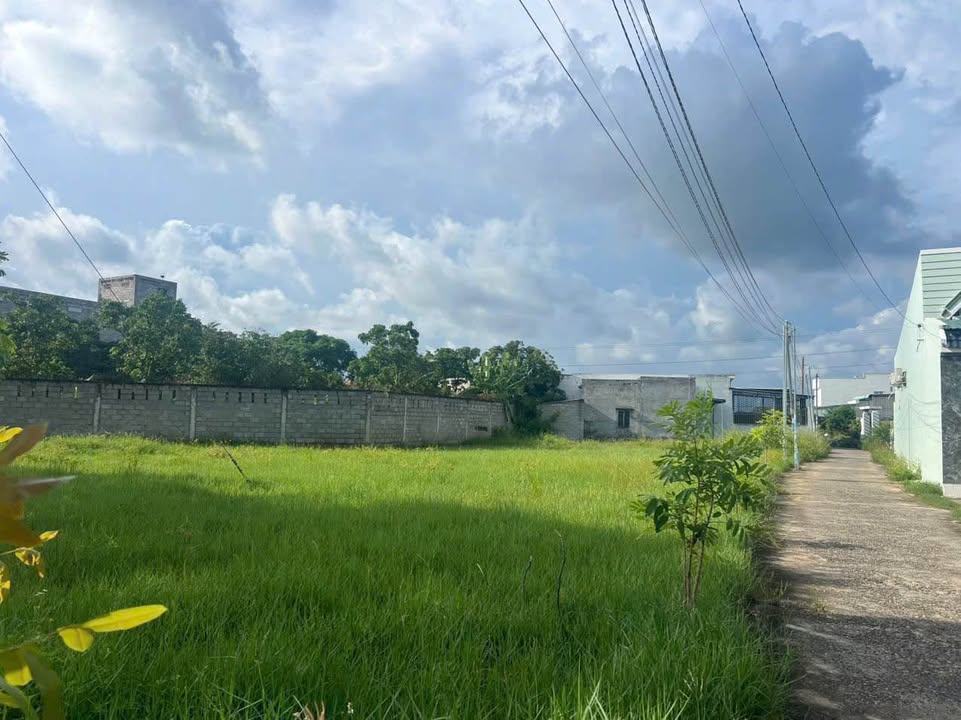 Đất lô góc 2 mặt tiền Ngô Đức Tốn 910m² giá chỉ 3.25 tỷ - Cơ hội đầu tư tuyệt vời!