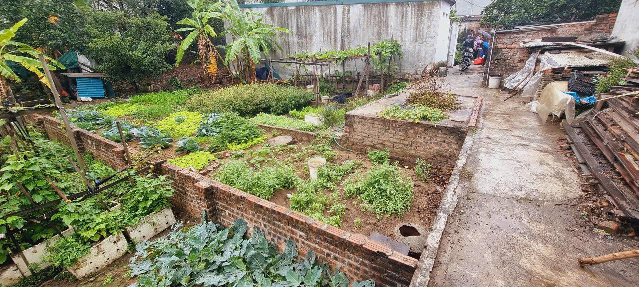 Đất thổ cư Việt Hùng 44m² giá 2 tỷ - Cách trung tâm Đông Anh chỉ 1km!