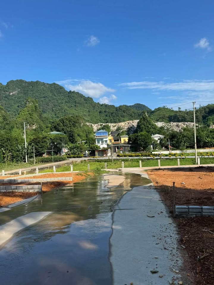 Đất thổ cư Tuyên Quang 100m² giá chỉ 9xx triệu - Cơ hội đầu tư tuyệt vời!