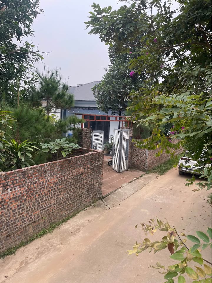 Đất chính chủ Minh Phú Sóc Sơn 600m² - Nhà xây đẹp kiên cố, giá tốt cho người thiện chí!