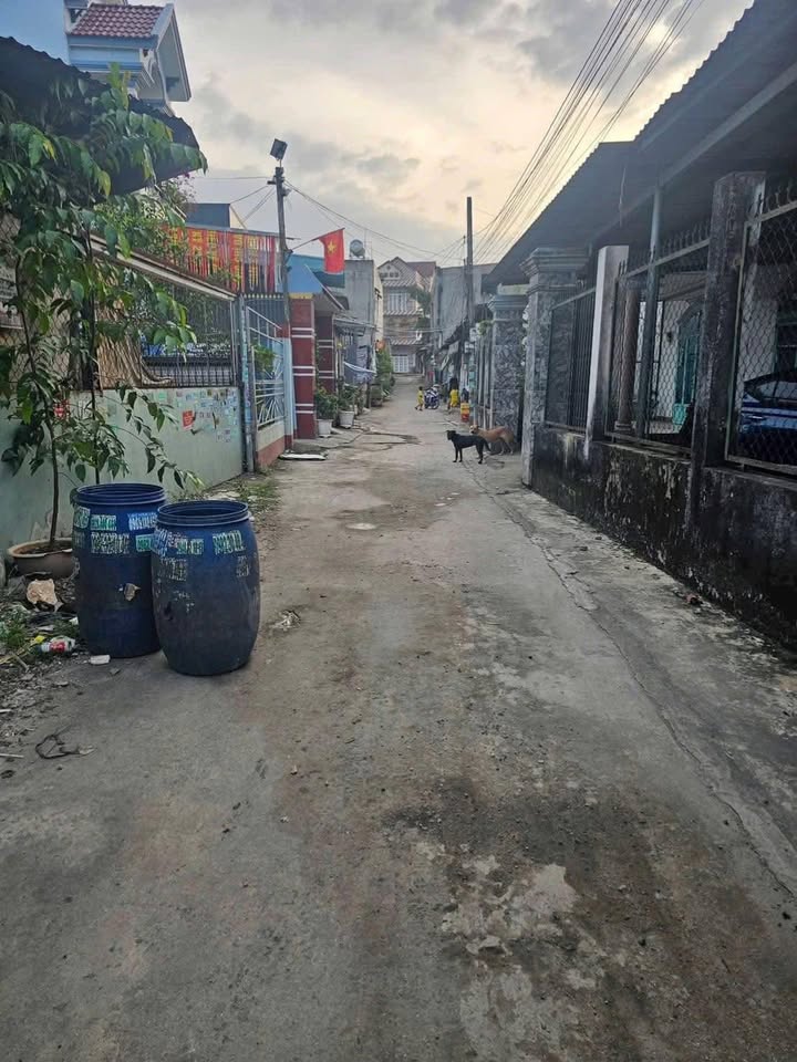 Đất nền Tân Đông Hiệp 100m² giá 2.5 tỷ - Sổ hồng riêng, vị trí đẹp!