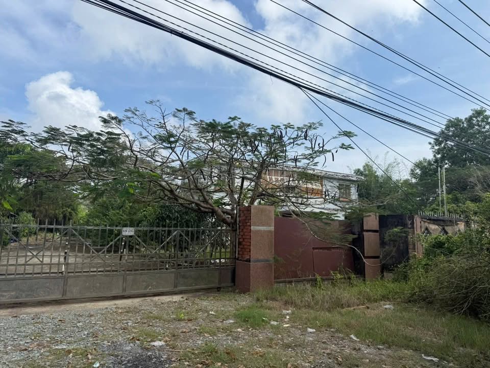 Nhà xưởng cho thuê tại xã Tân Tây, huyện Thanh Hóa, Long An - Diện tích 19.000m², giá 150 triệu/tháng