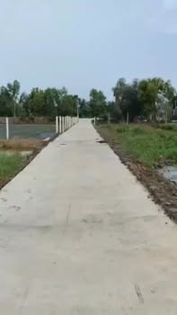 Đất ruộng 3000m² tại Tân Phú, Cai Lậy chỉ 1.44 tỷ - Ô tô tới đất!