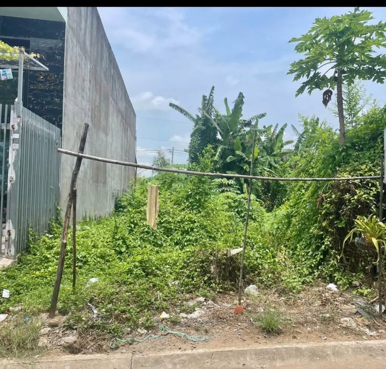 Đất nền đường số 8, phường Mỹ Phước, 72m² giá 1 tỷ - Cơ hội đầu tư hấp dẫn!