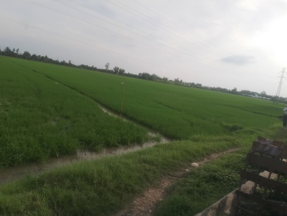 Đất nền Tân Hiệp Kiên Giang 5040m² - Cơ hội đầu tư tuyệt vời!