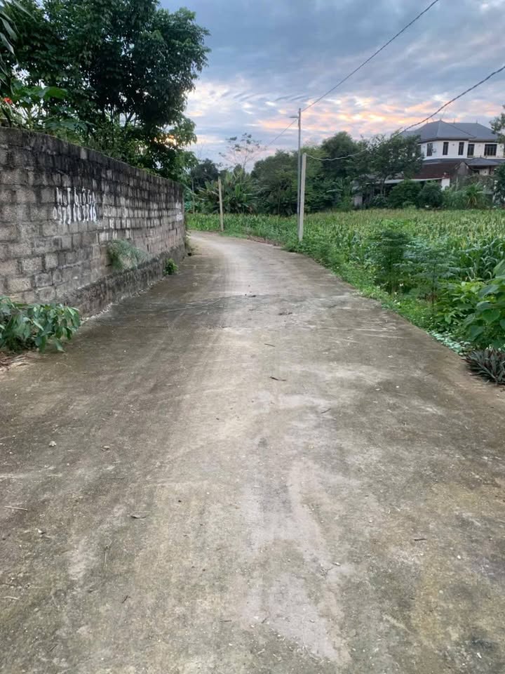 Đất thổ cư Sông Lô Vĩnh Phúc 879m² - Cơ hội đầu tư hấp dẫn!