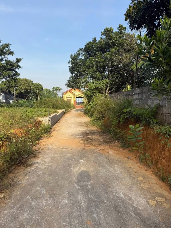 Đất nền Văn Phú Nho Quan 90m² giá chỉ 300 triệu - Cơ hội đầu tư sinh lời!