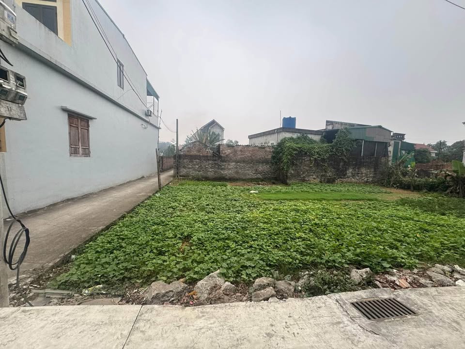 Đất Ninh Phúc 92.7m² giá thỏa thuận - Lô đất 2 mặt tiền, ngõ thông thuận lợi!