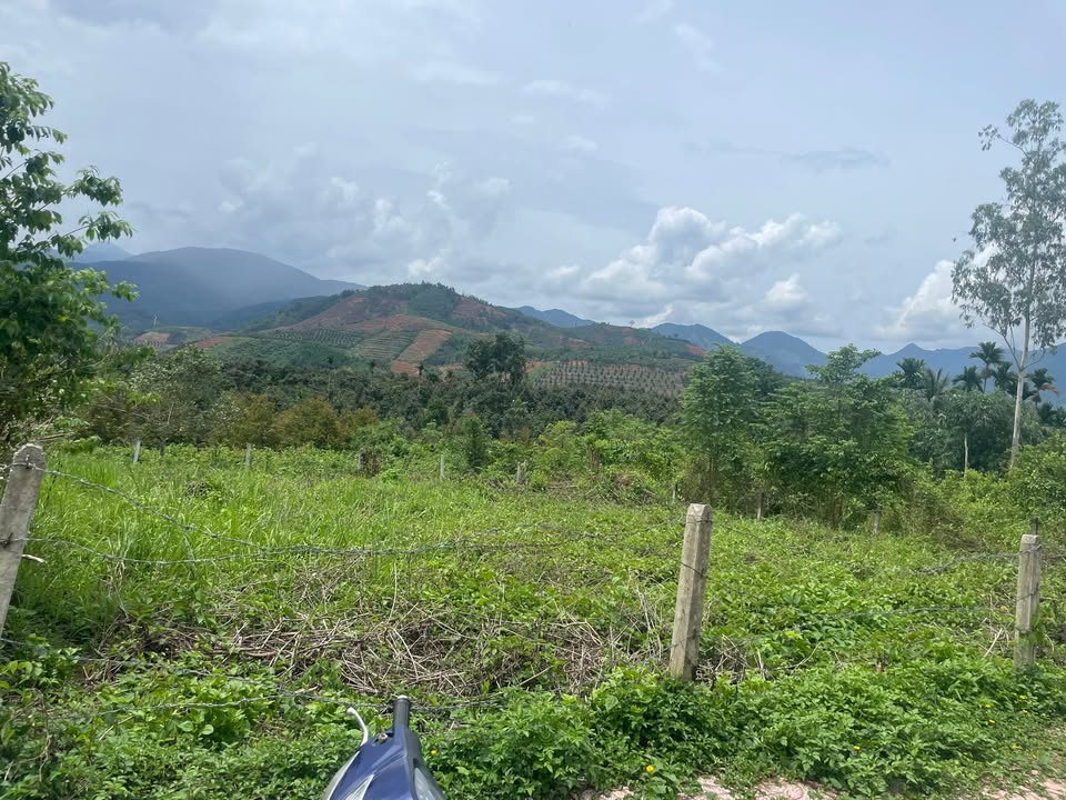 Đất nền Sơn Hiệp, Khánh Sơn 668m² giá 1 tỷ - Cơ hội vàng đầu tư!