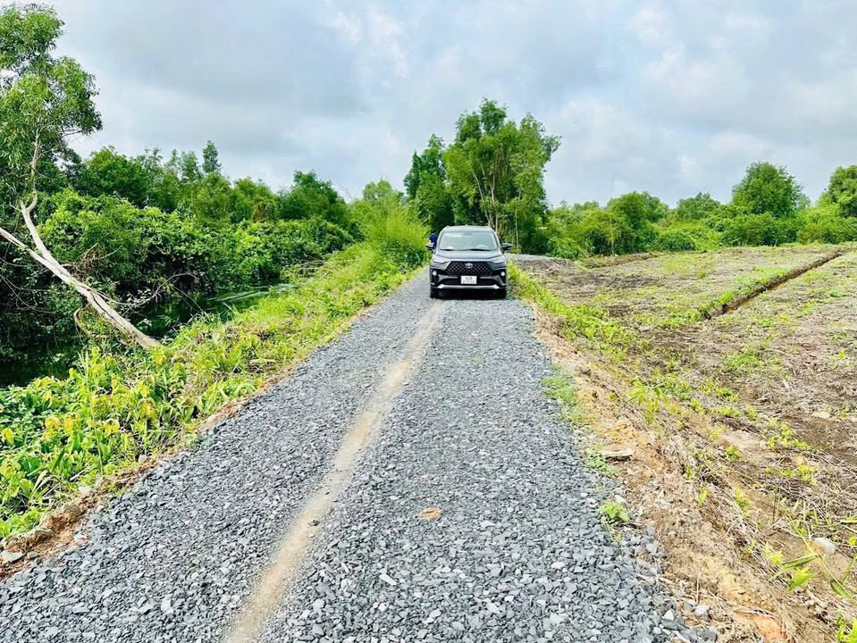 Đất vườn Thạnh Hòa Bến Lức 4861m² giá 365 triệu - Cơ hội đầu tư hấp dẫn!