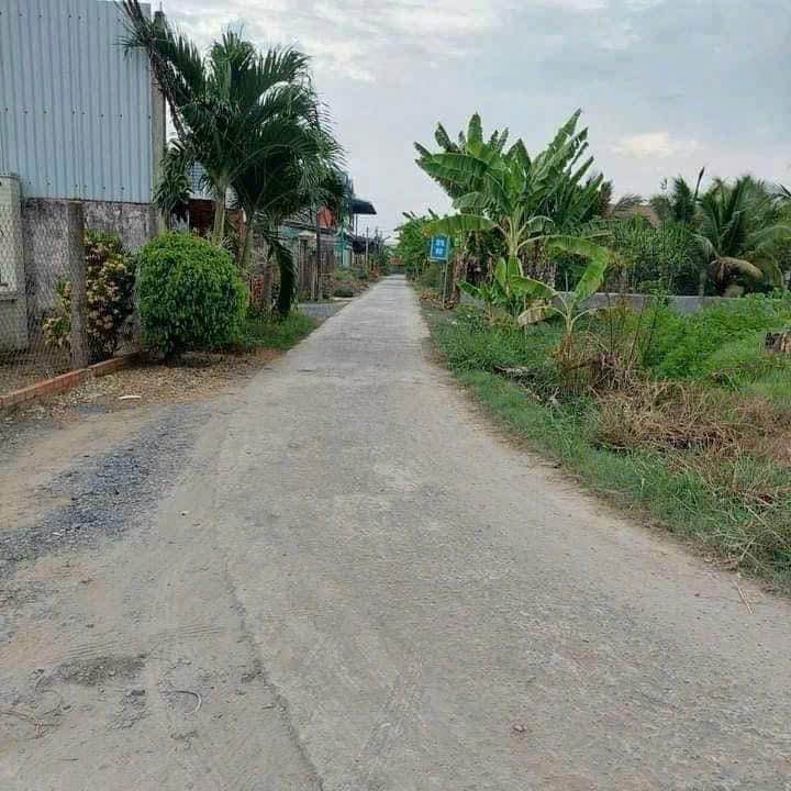 Đất thổ cư Mỹ Phú Thủ Thừa 260m² giá 850 triệu - Đường ô tô, dân cư đông đúc!