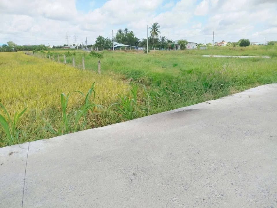 Đất thổ cư 200m² + 800m² lúa tại Quách Văn Tuấn, Tân An - Thích hợp làm nhà vườn nghỉ dưỡng!