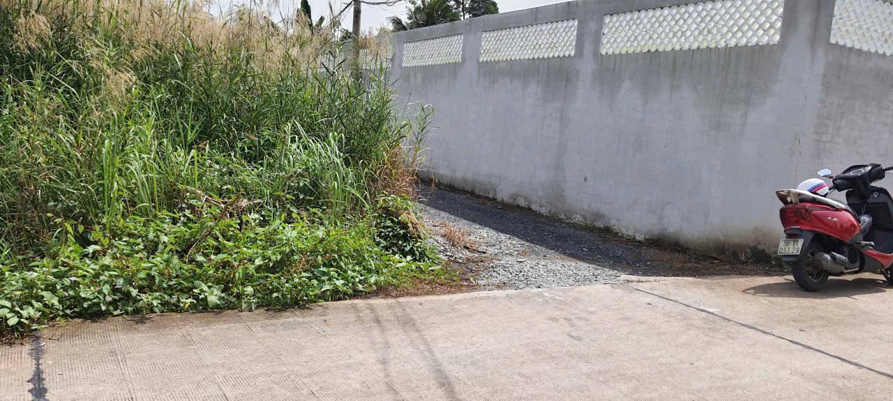 Đất nền Nhựt Chánh Bến Lức 140m² giá 900 triệu - Đầu tư sinh lời lý tưởng!