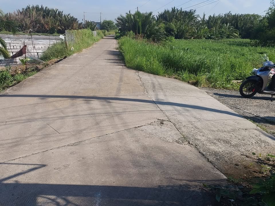 Đất 2 mặt tiền Nhựt Ninh, Tân Trụ, Long An 9536m² - Chính chủ bán gấp!