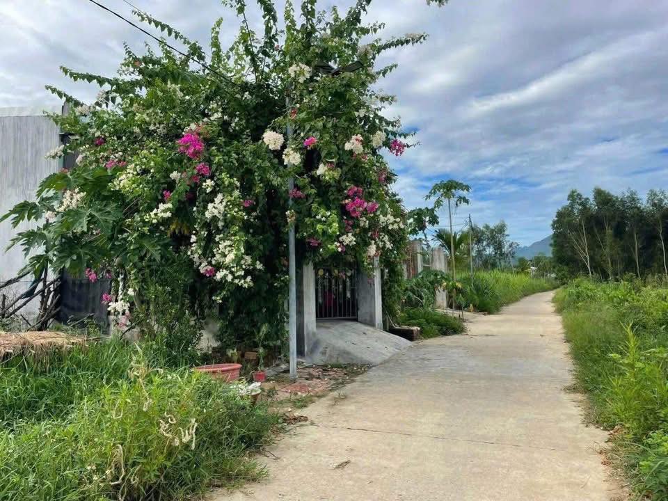 Đất nền Nghĩa Thắng, Tư Nghĩa 132m² giá 300 triệu - Đường ô tô thông thoáng!